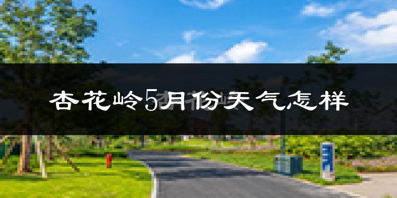 杏花岭5月份天气怎样?杏花岭五月冷不冷?