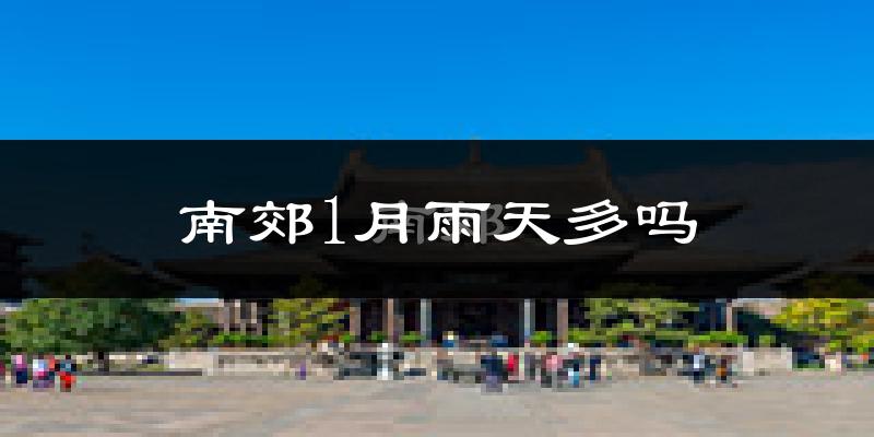 南郊1月雨天多吗?