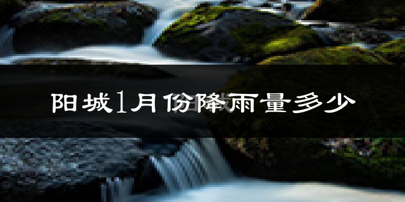 阳城1月份降雨量多少?阳城一月下雨多吗?