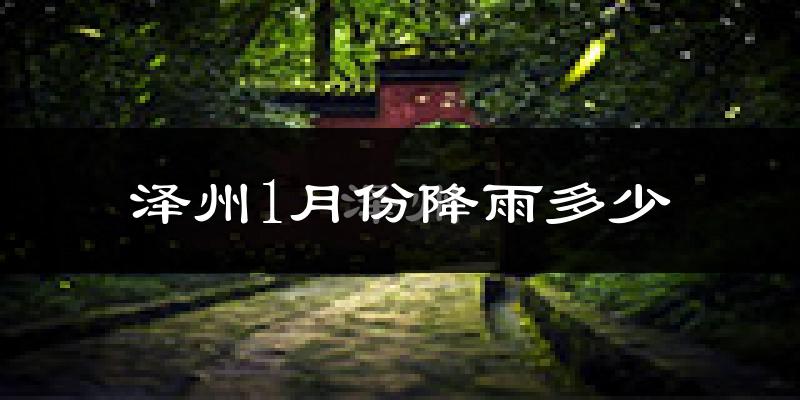 泽州1月份降雨多少?
