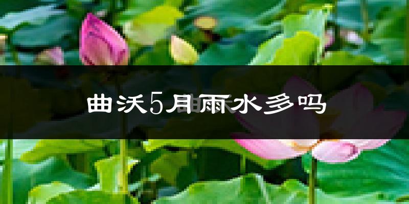曲沃5月雨水多吗?