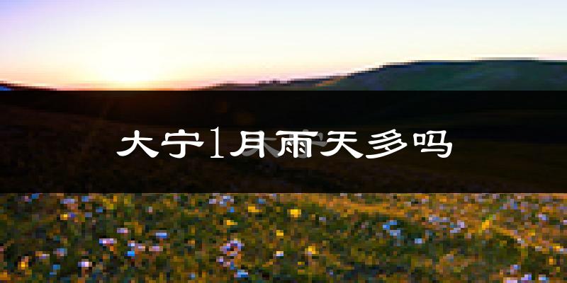 大宁1月雨天多吗?