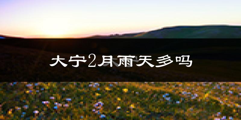 大宁2月雨天多吗?
