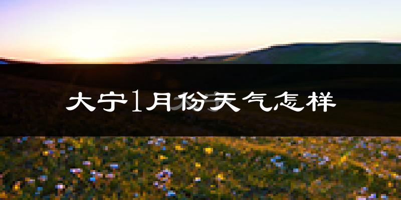 大宁县1月份天气如何?很冷吗?