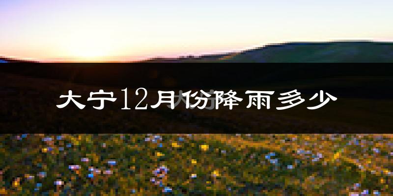 大宁12月份降雨多少?