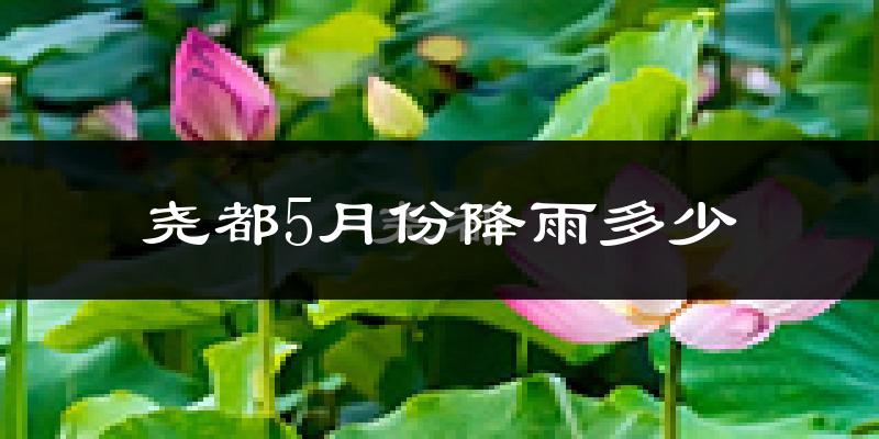 尧都5月份降雨多少?