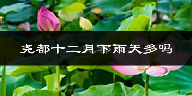 尧都十二月下雨天多吗?尧都12月份降雨量多少?