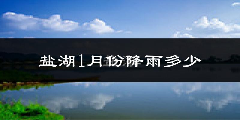 盐湖1月份降雨多少?