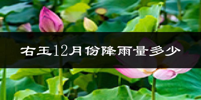 右玉12月份降雨量多少?右玉十二月下雨多吗?