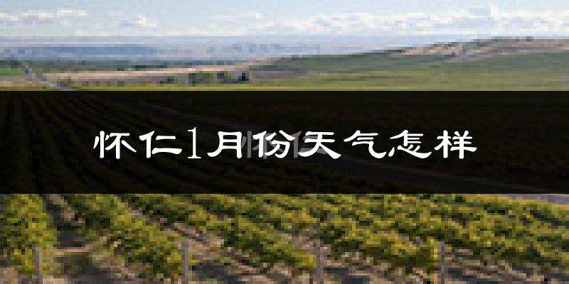怀仁市1月份天气如何?很冷吗?
