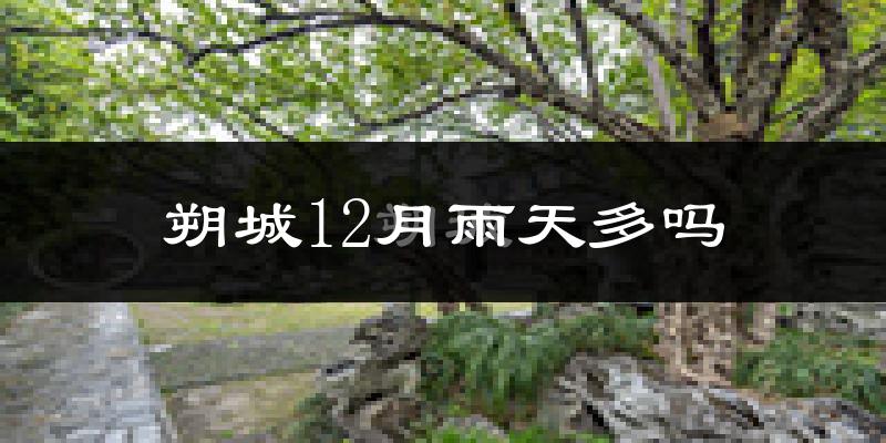 朔城12月雨天多吗?