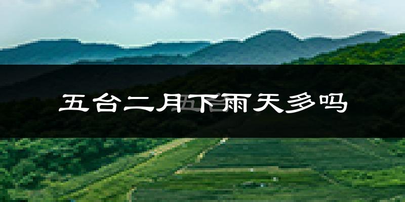五台二月下雨天多吗?五台2月份降雨量多少?