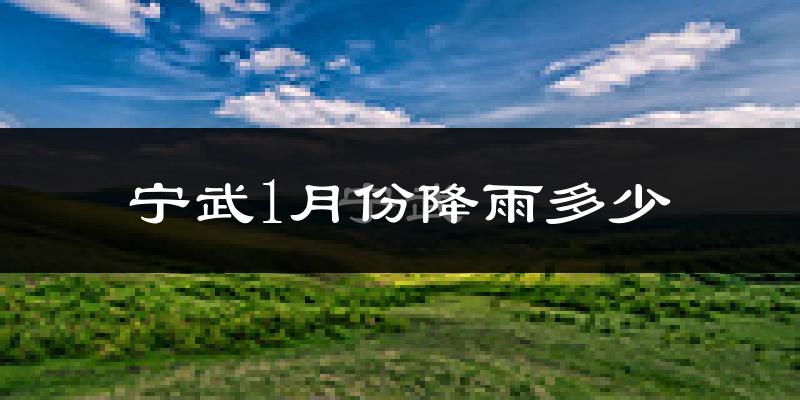 宁武1月份降雨多少?