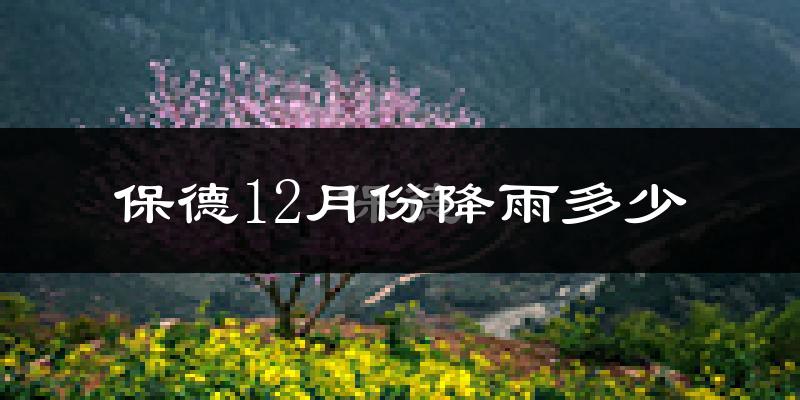 保德12月份降雨多少?