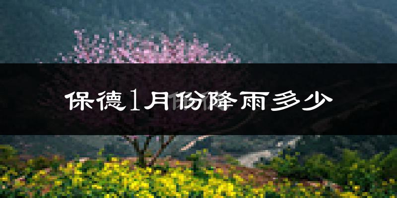 保德1月份降雨多少?