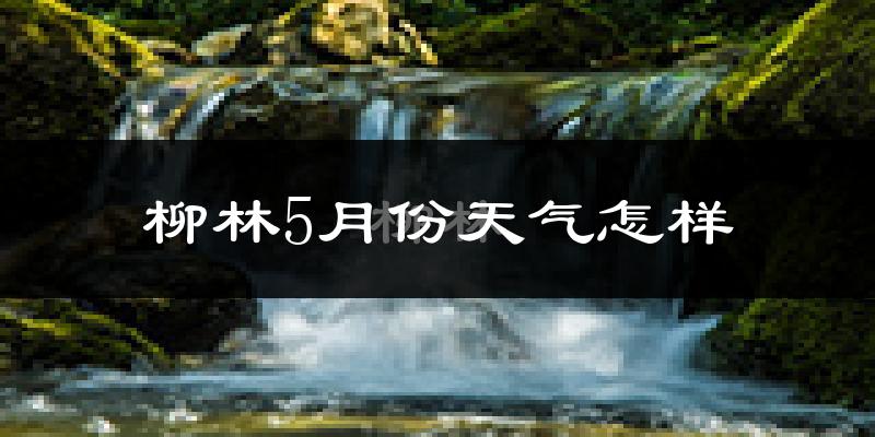 柳林县5月份天气如何?很热吗?