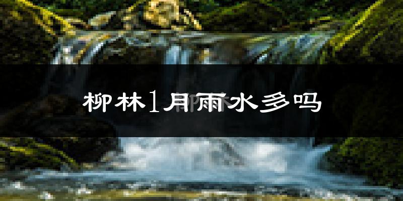 柳林1月雨水多吗?