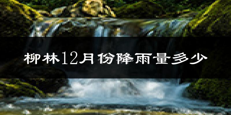 柳林12月份降雨量多少?柳林十二月下雨多吗?