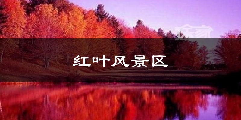 红叶风景区天气预报十五天